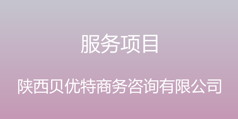 服务项目 - 陕西贝优特商务咨询有限公司