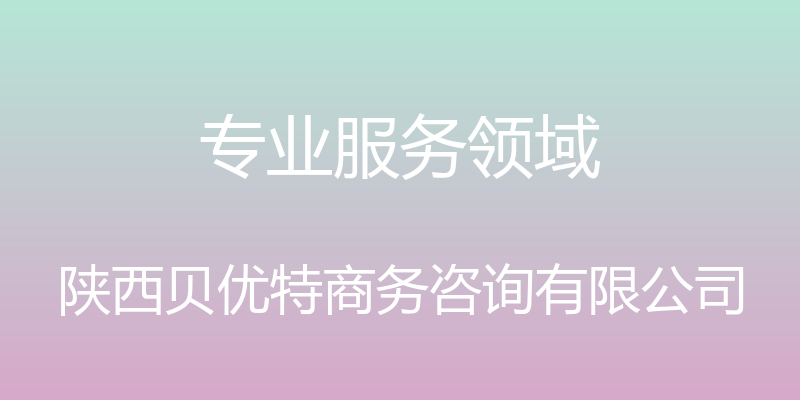 专业服务领域 - 陕西贝优特商务咨询有限公司